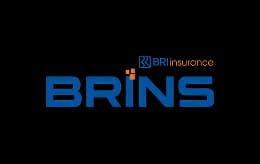 img-brins